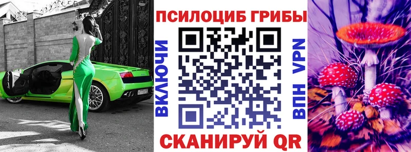 Псилоцибиновые грибы Psilocybe  кракен ССЫЛКА  Реутов 